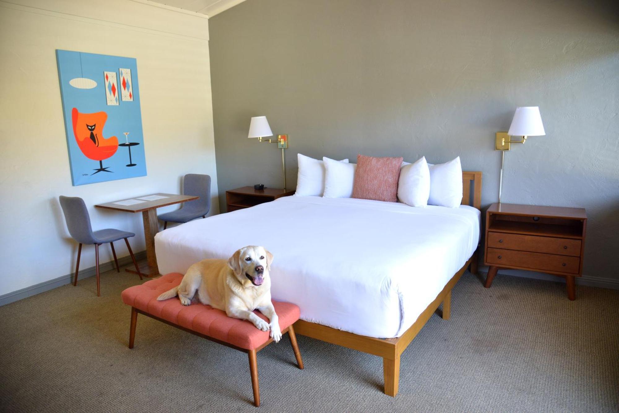 Contenta Inn カーメル・バレー エクステリア 写真