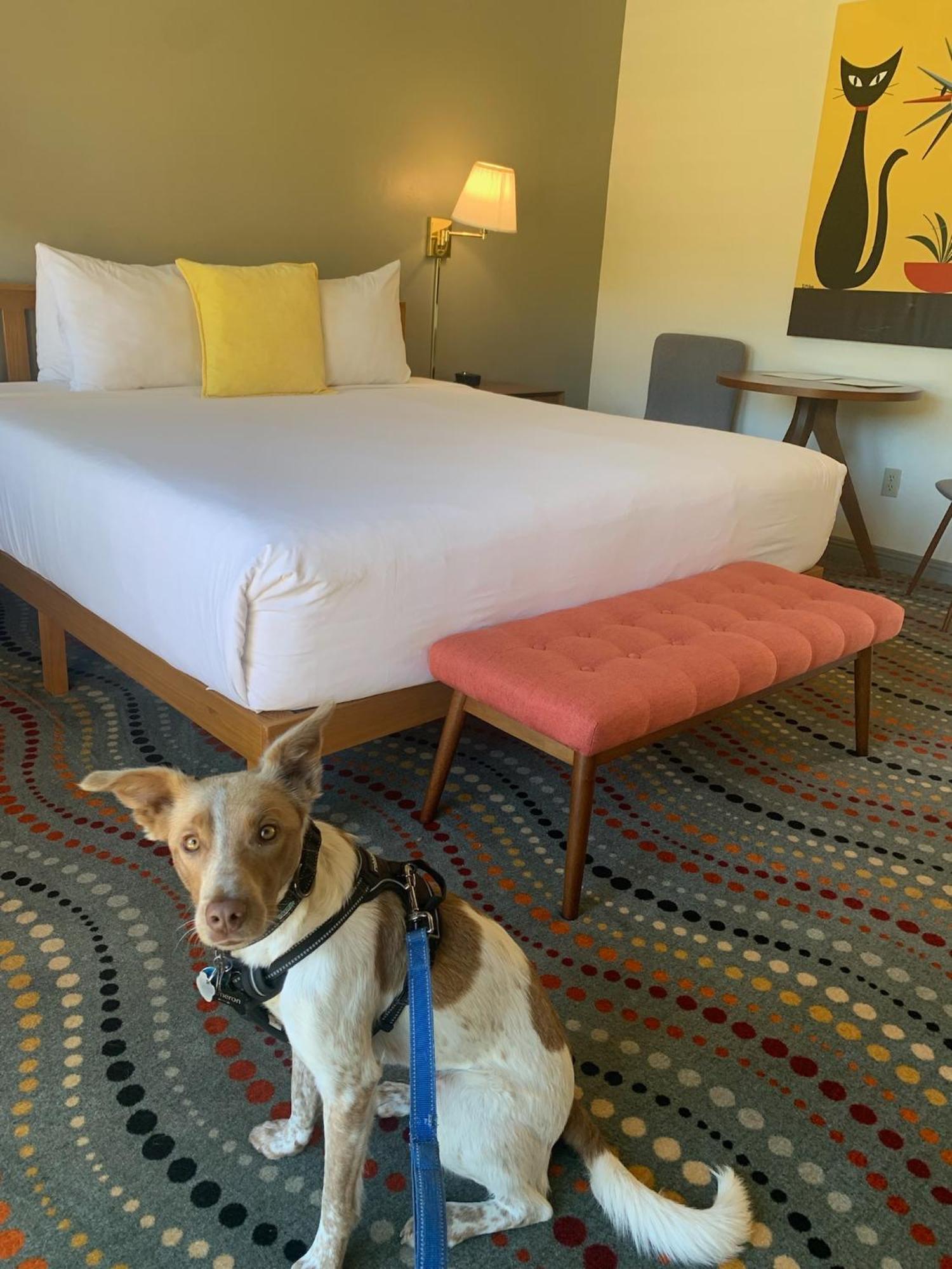 Contenta Inn カーメル・バレー エクステリア 写真